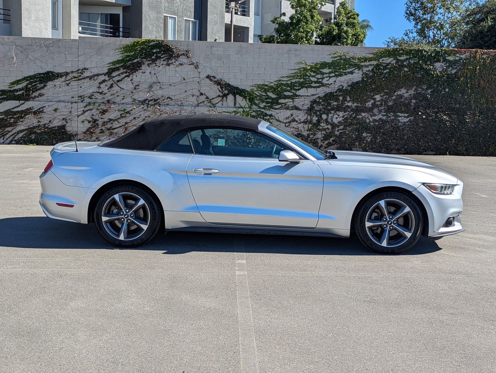 2015 Ford Mustang V6 Convertible photo 4