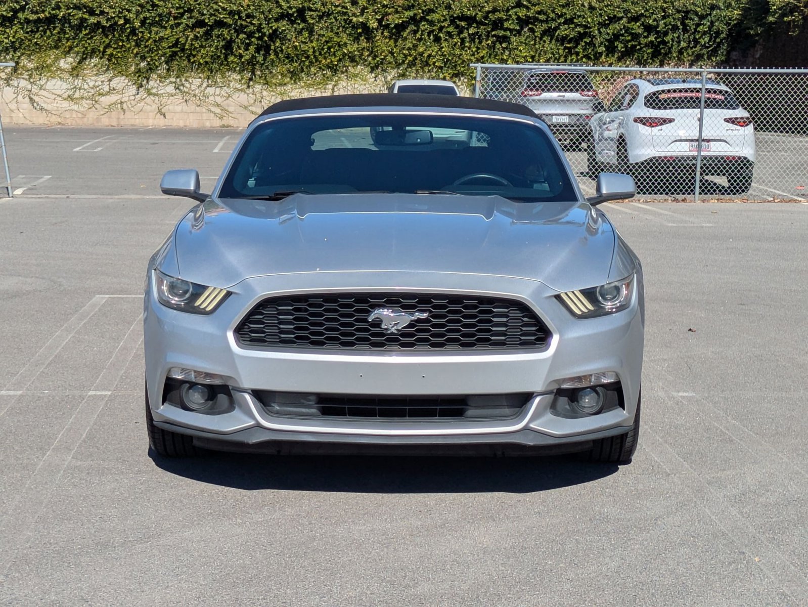 2015 Ford Mustang V6 Convertible photo 2