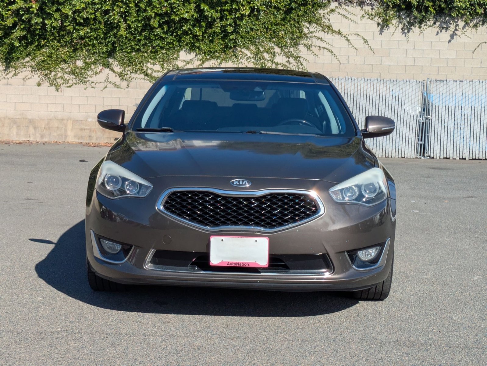 2015 Kia Cadenza Premium photo 2