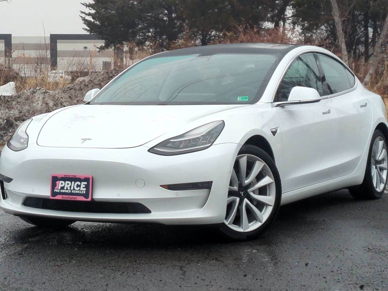 2019 Tesla Model 3 Long Range