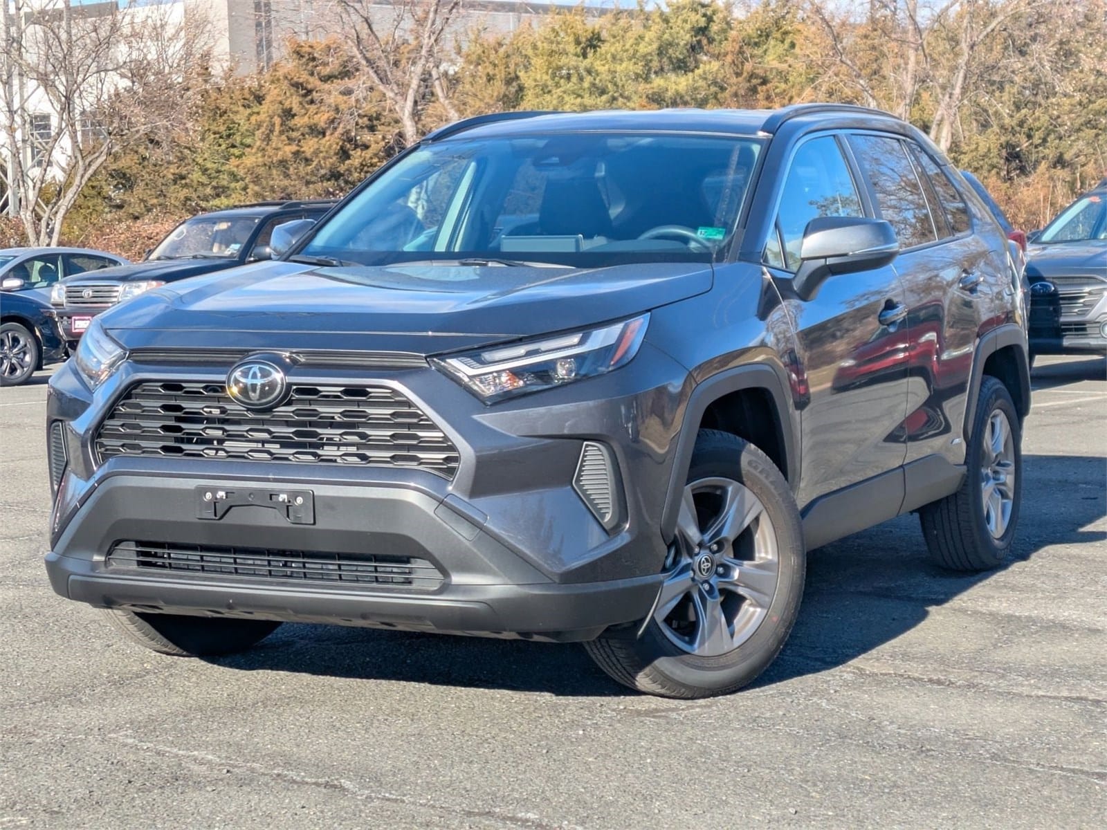 2025 Toyota RAV4 XLE's photo