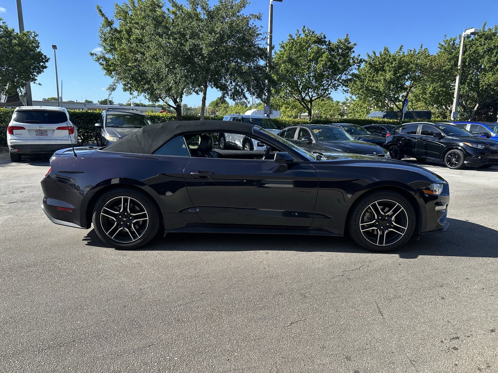 2023 Ford Mustang EcoBoost Premium photo 4