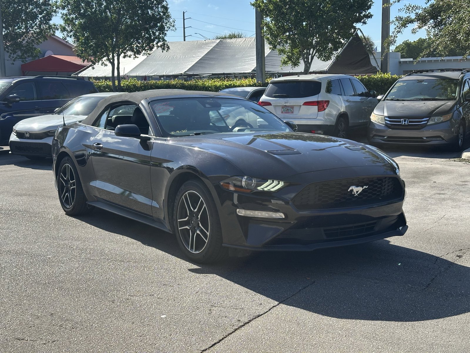 2023 Ford Mustang EcoBoost Premium photo 3