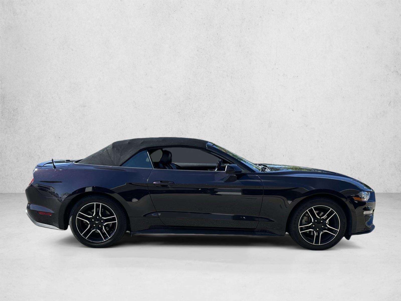 2023 Ford Mustang EcoBoost Premium photo 4