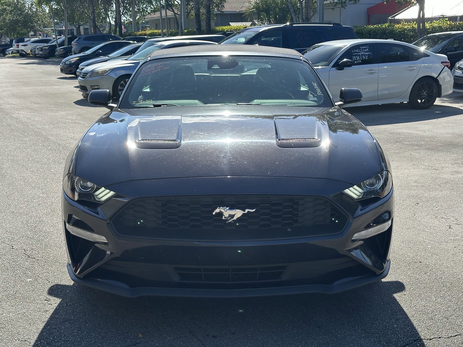 2023 Ford Mustang EcoBoost Premium photo 2