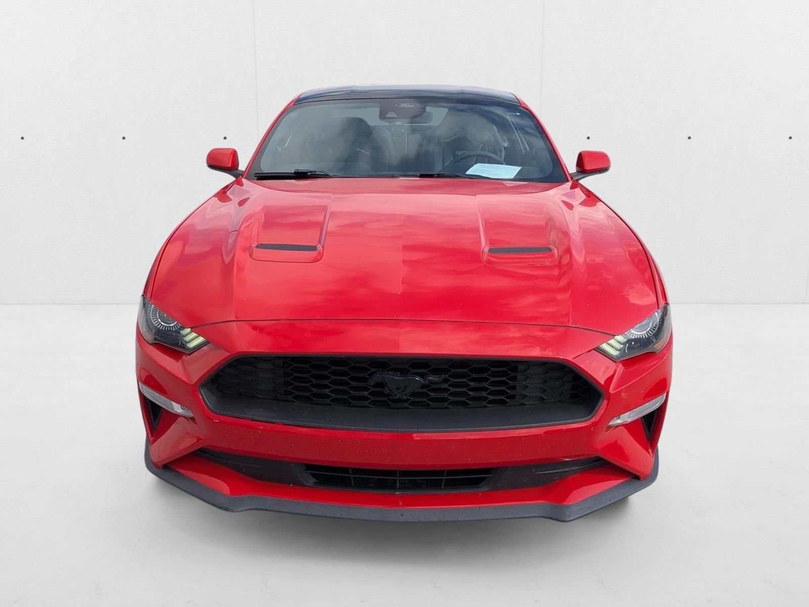 2019 Ford Mustang EcoBoost Premium photo 2