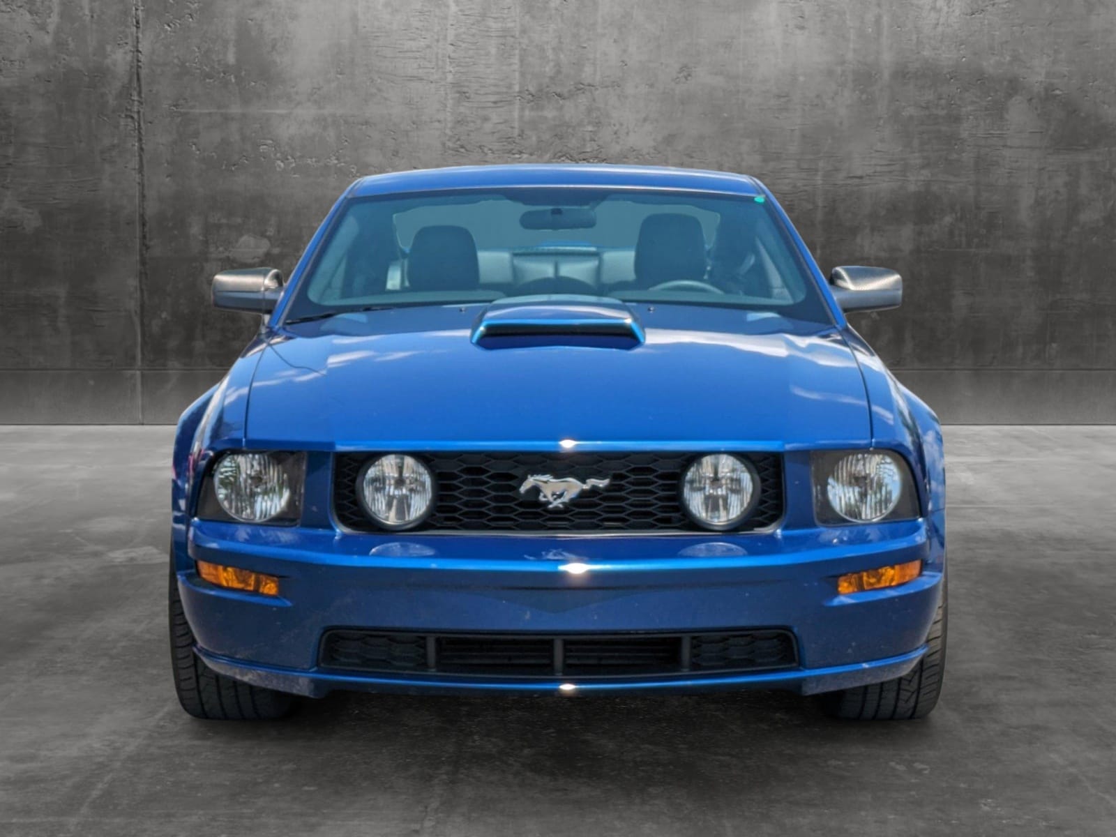 Used 2008 Ford Mustang GT Premium with VIN 1ZVHT82H685205717 for sale in Knoxville, TN