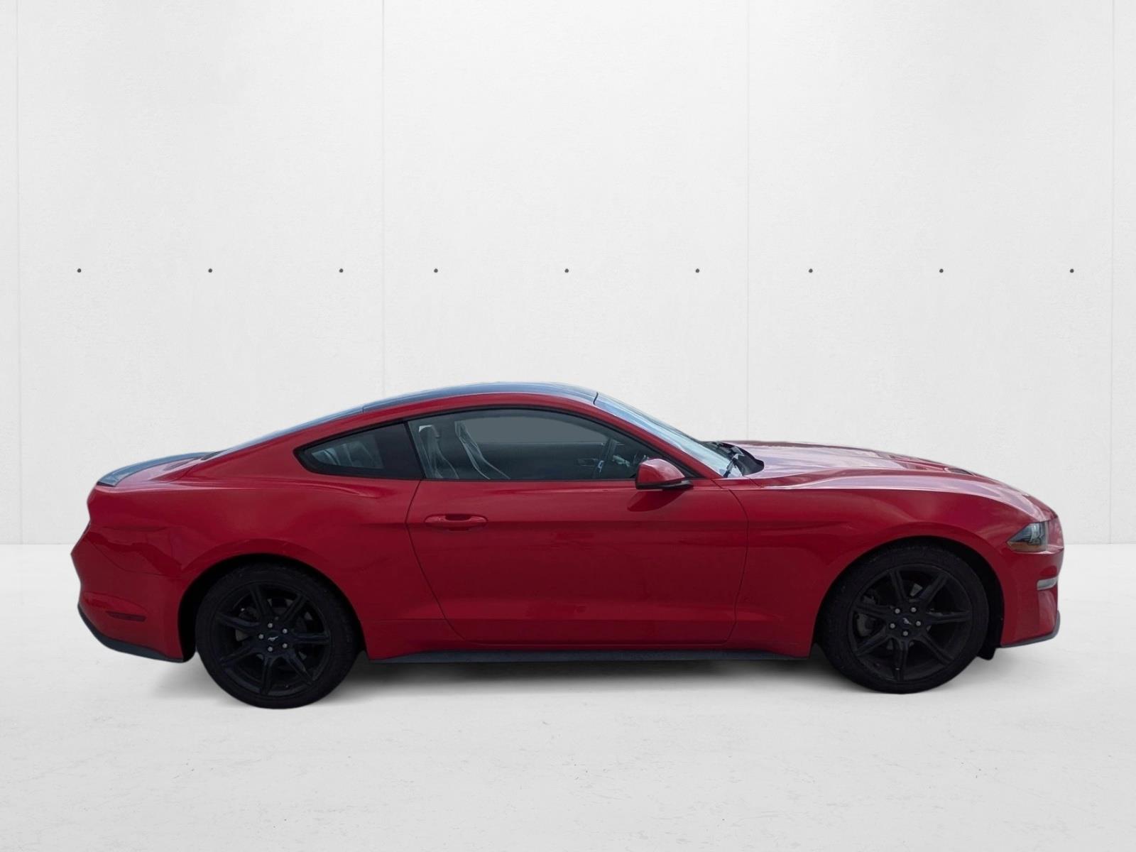 2019 Ford Mustang EcoBoost Premium photo 4