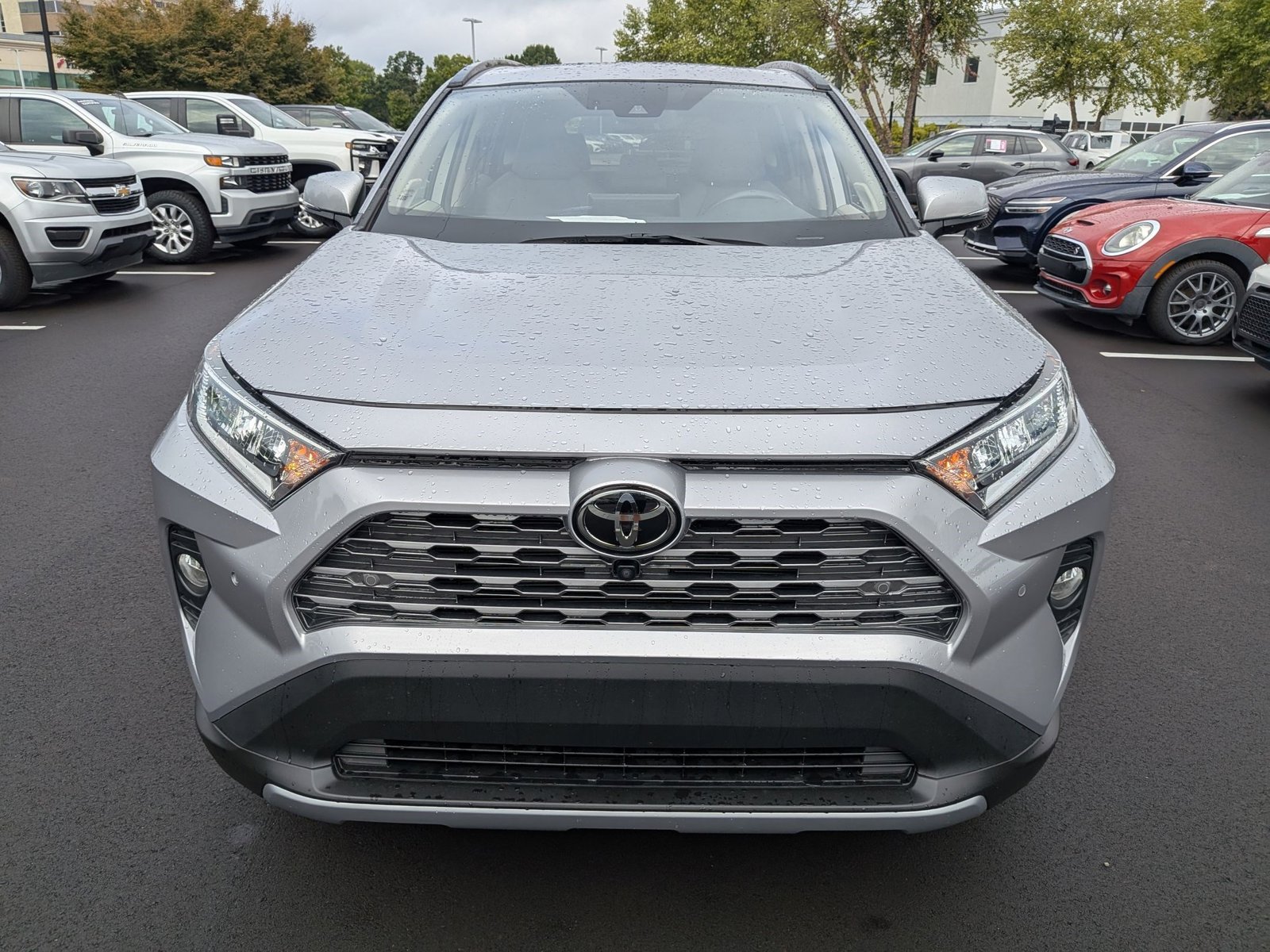 2019 Toyota RAV4 Limited photo 2