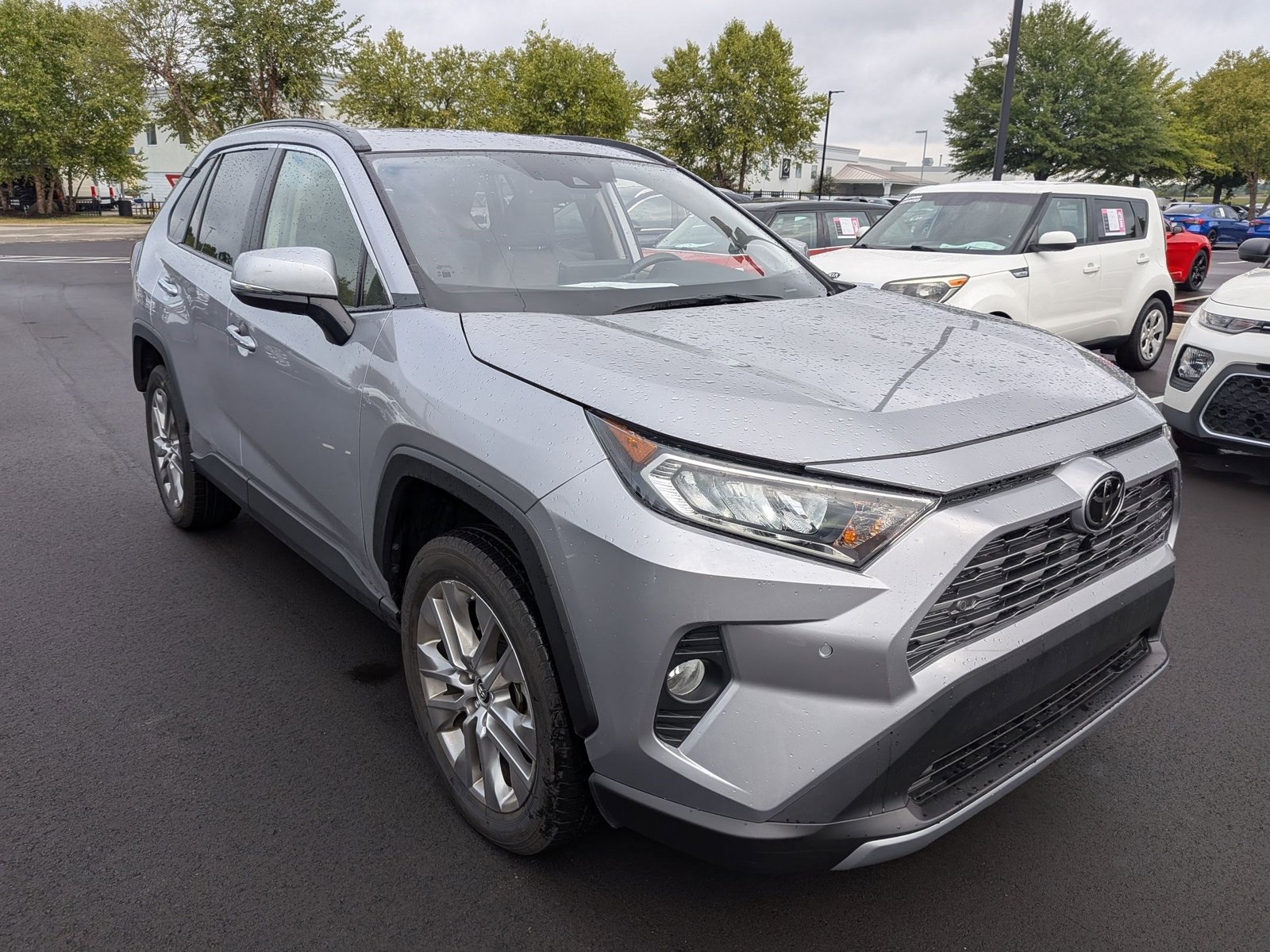 2019 Toyota RAV4 Limited photo 3