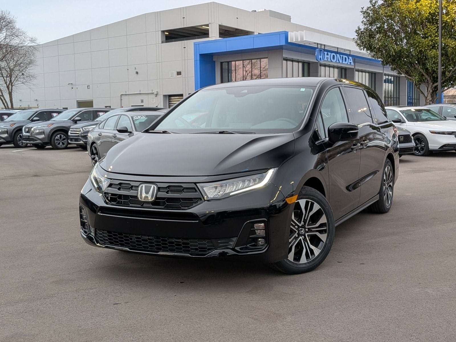 2026 Honda Odyssey Elite's photo