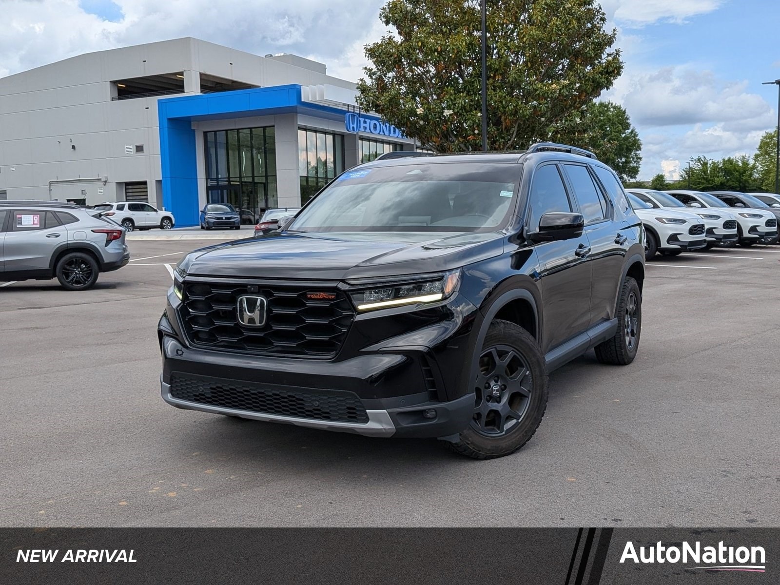 2024 Honda Pilot TrailSport AWD's photo