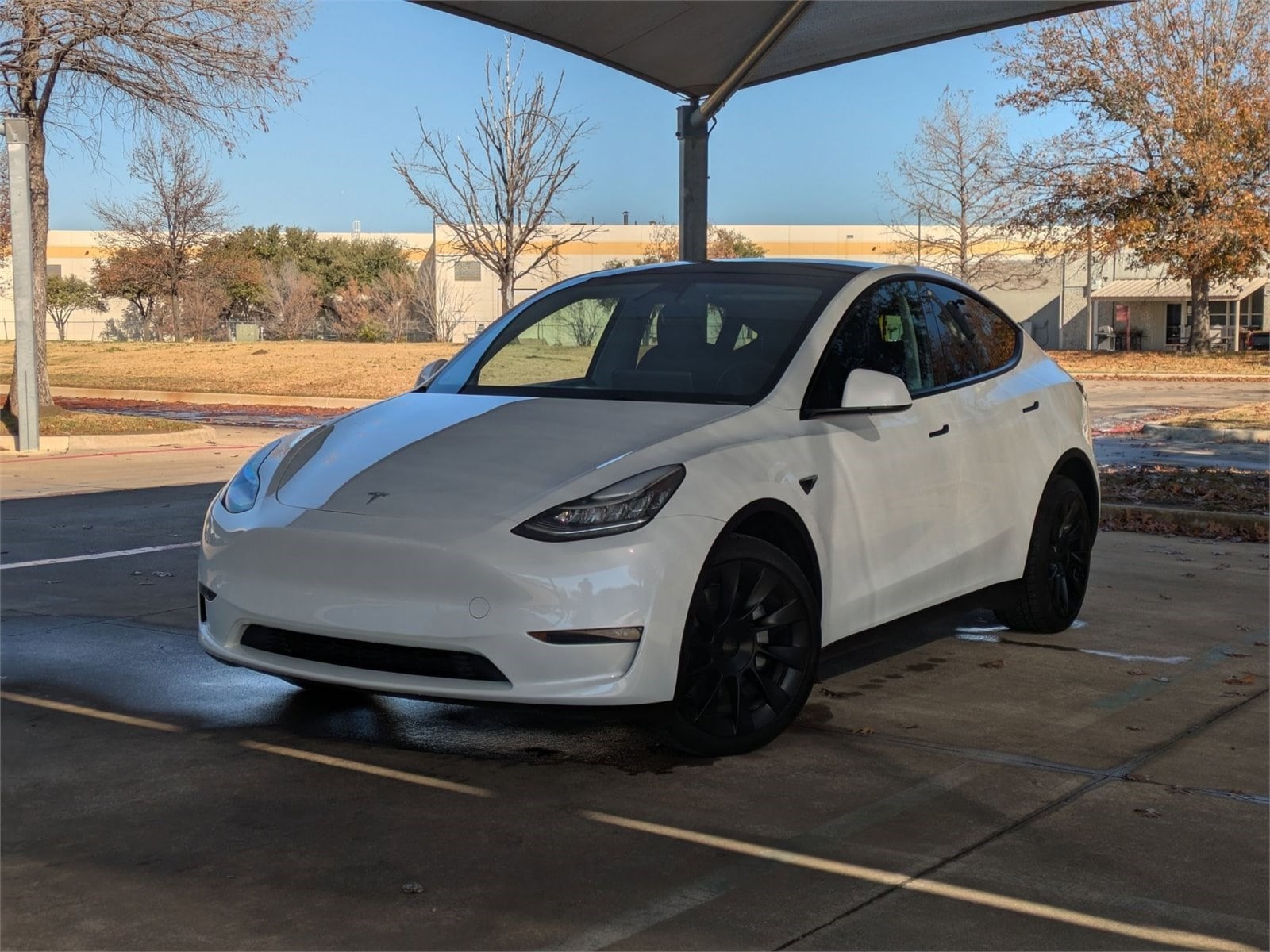 2023 Tesla Model Y Long Range's photo