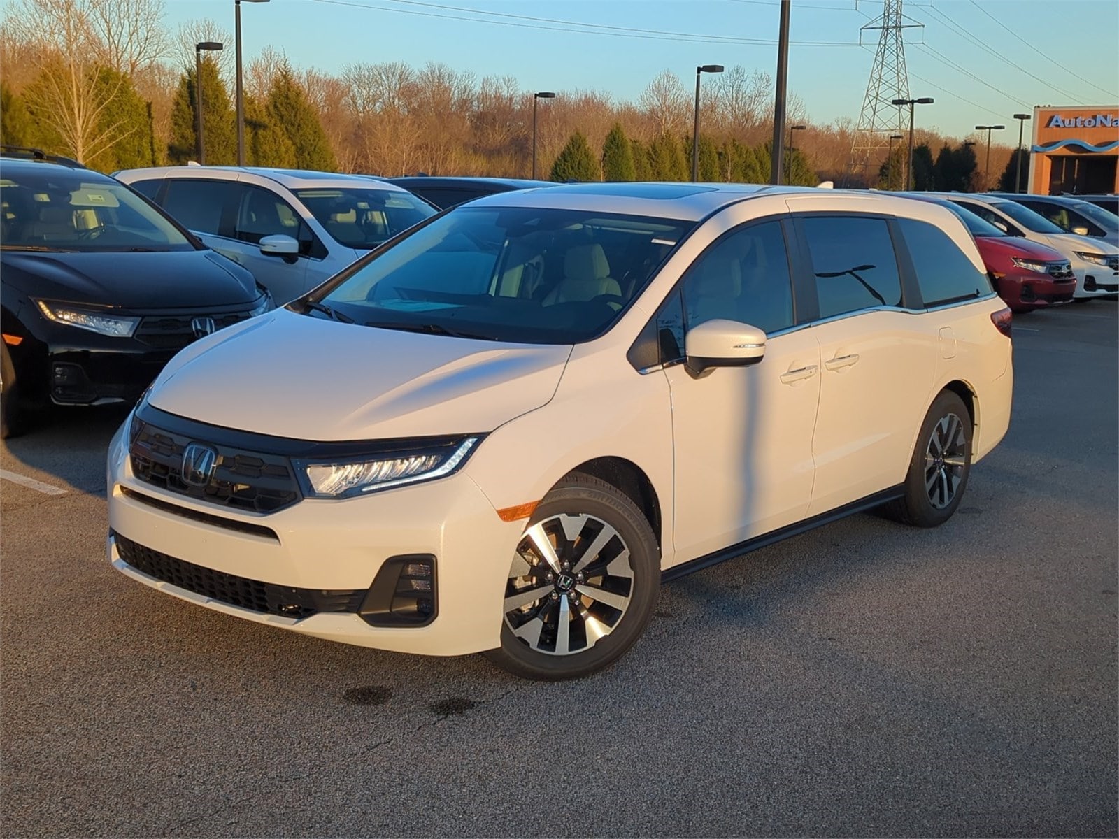 2026 Honda Odyssey EX-L's photo