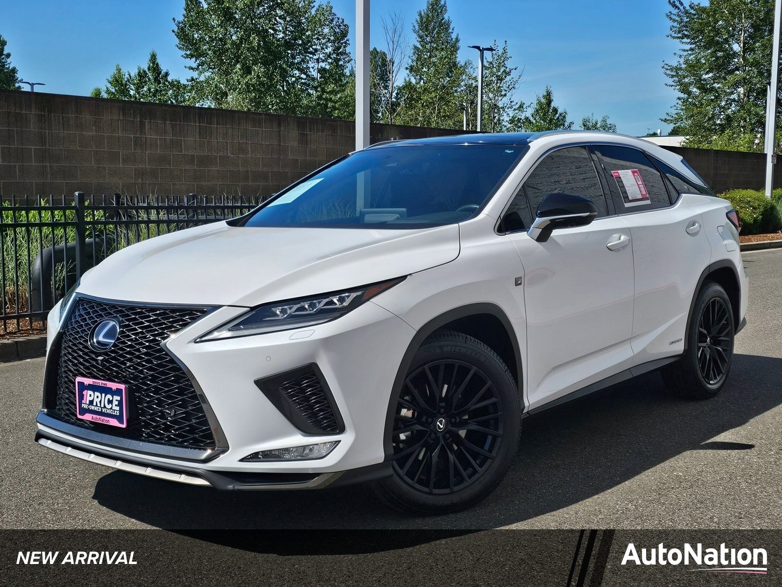 2020 Lexus RX 350h 450h F SPORT Performance AWD's photo