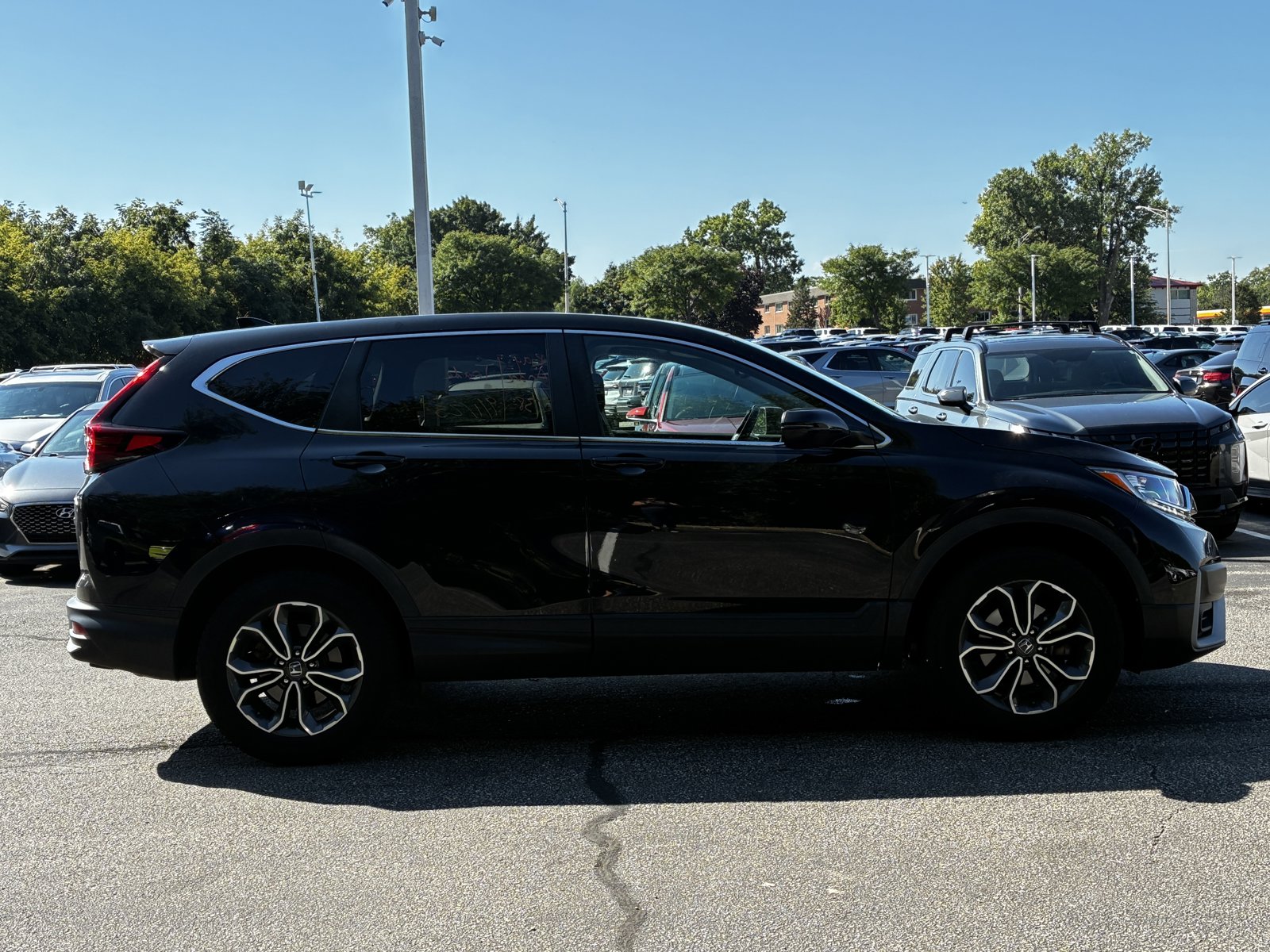 2020 Honda CR-V EX-L photo 4