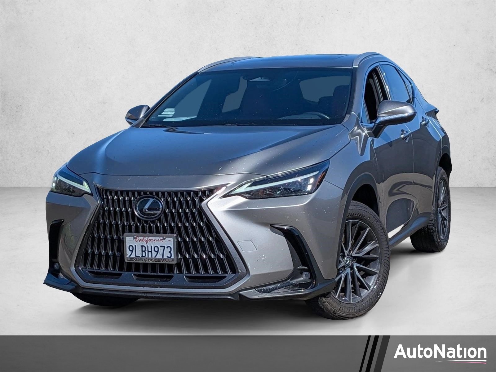 2024 Lexus NX 350 250 AWD's photo