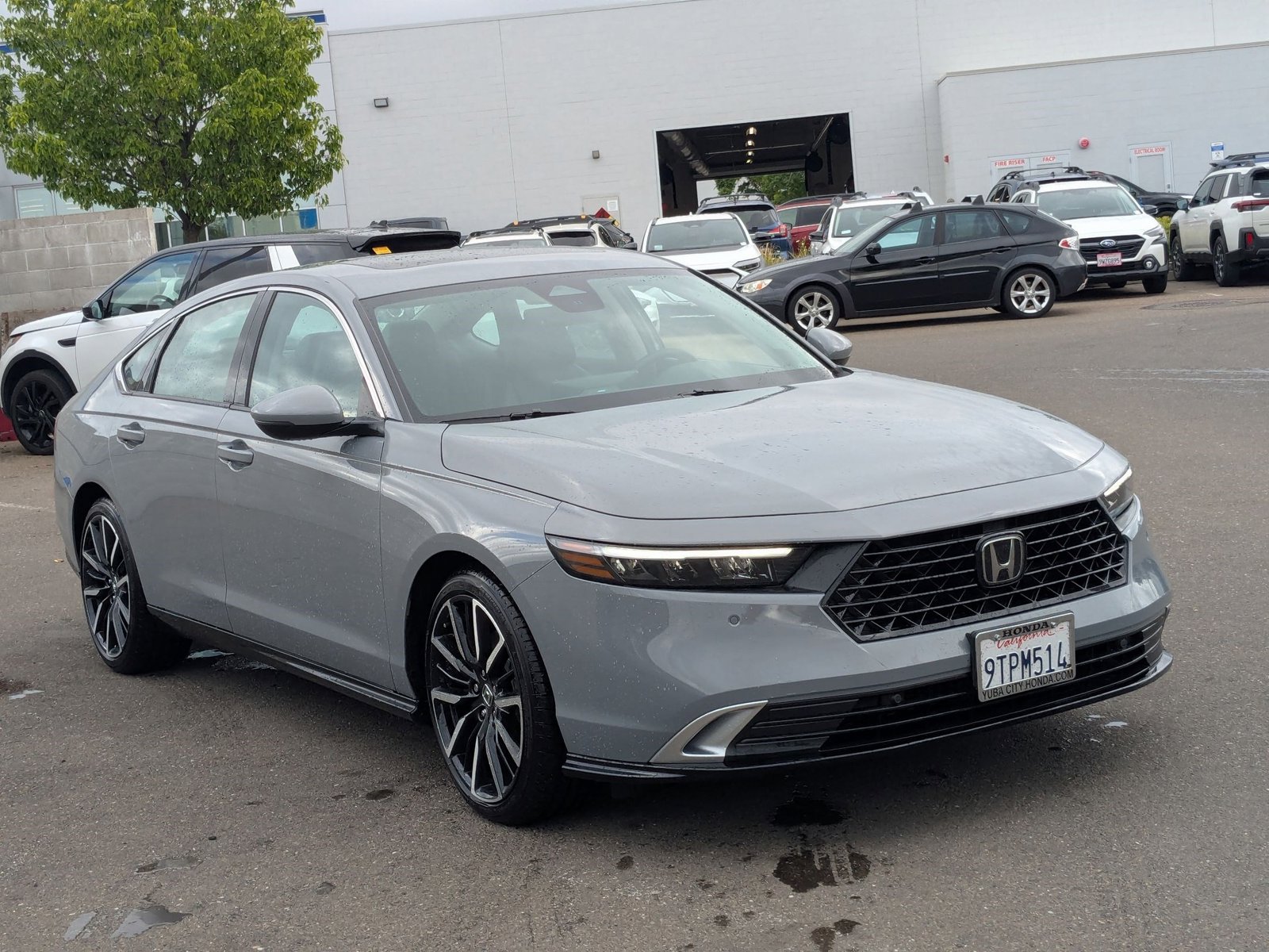 2025 Honda Accord Hybrid Touring photo 3
