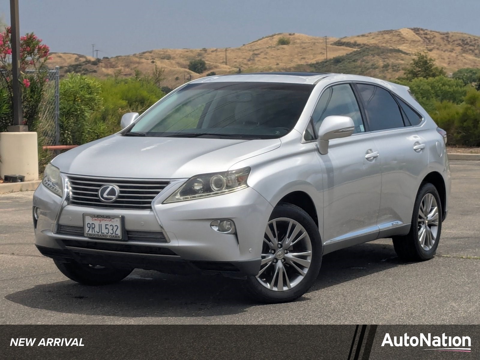 2014 Lexus RX 350 450h Hybrid's photo