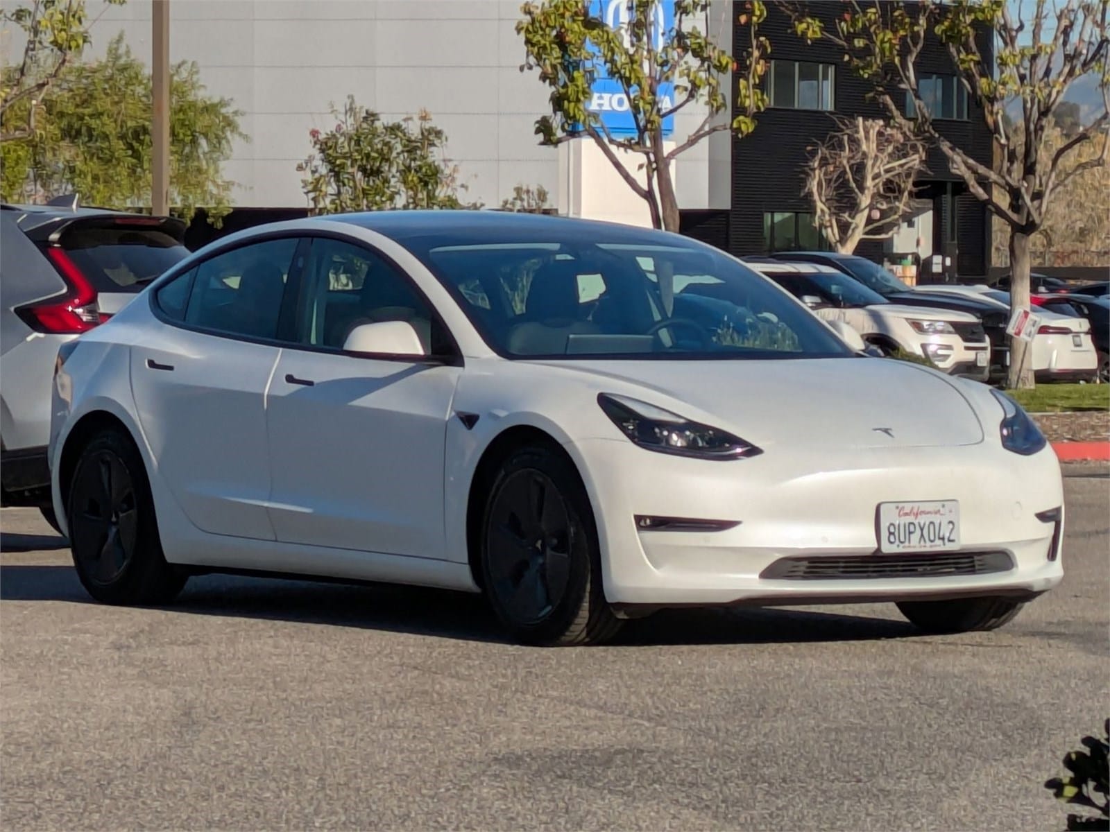 2021 Tesla Model 3 Base's photo