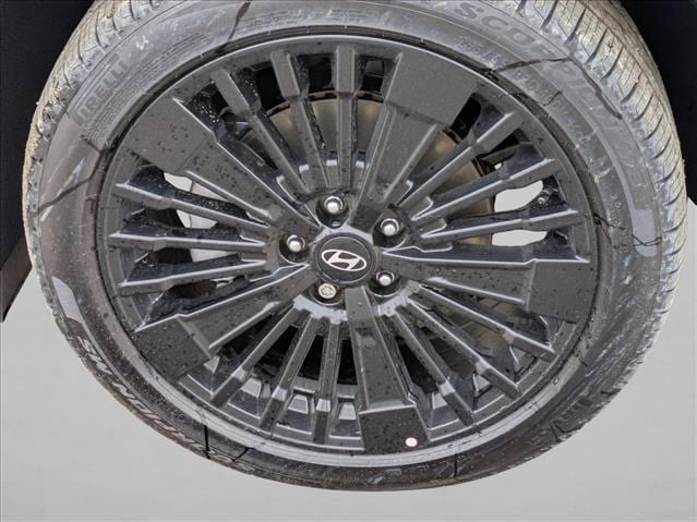 2025 Hyundai Santa Fe Calligraphy - Photo 10