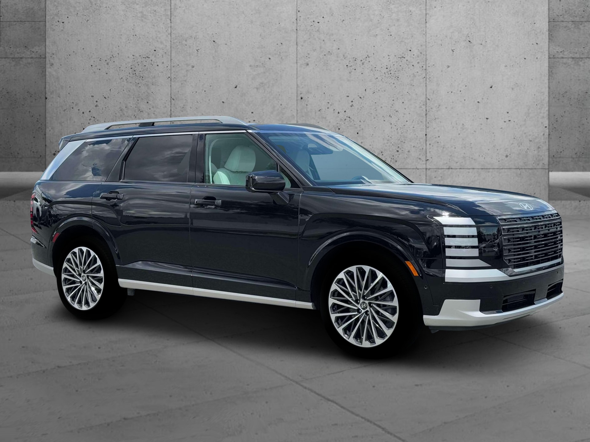 2026 Hyundai Palisade Calligraphy - Photo 10
