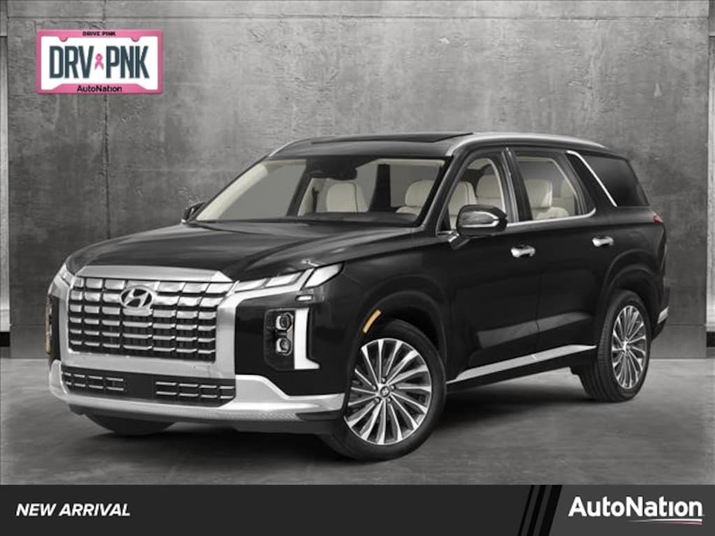 2024 Hyundai Palisade Calligraphy For Sale North Richland Hills TX
