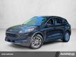 Used 2020 Ford Escape SE Sport Utility