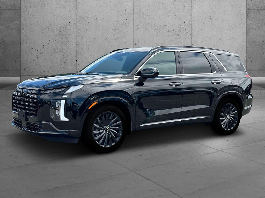 2025 Hyundai Palisade Calligraphy Night Edition AWD For Sale Des Plaines IL