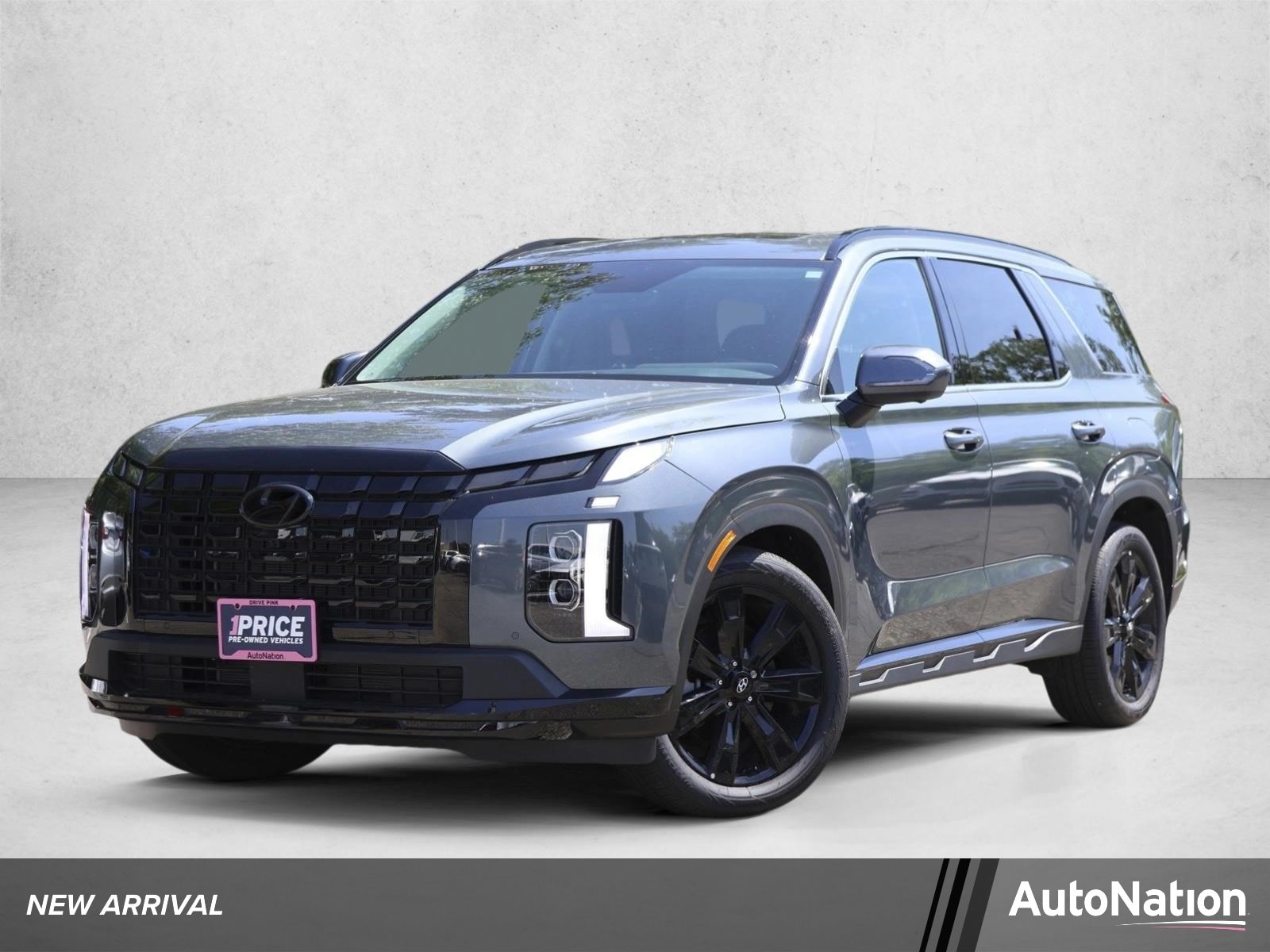 2025 Hyundai Palisade XRT AWD's photo