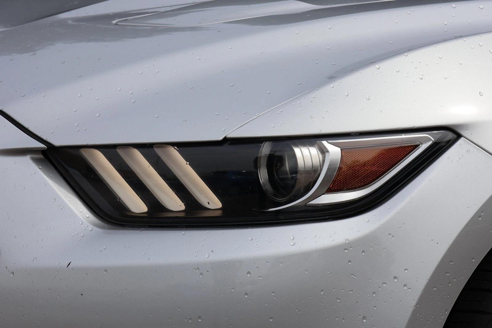 2017 Ford Mustang GT - Photo 10