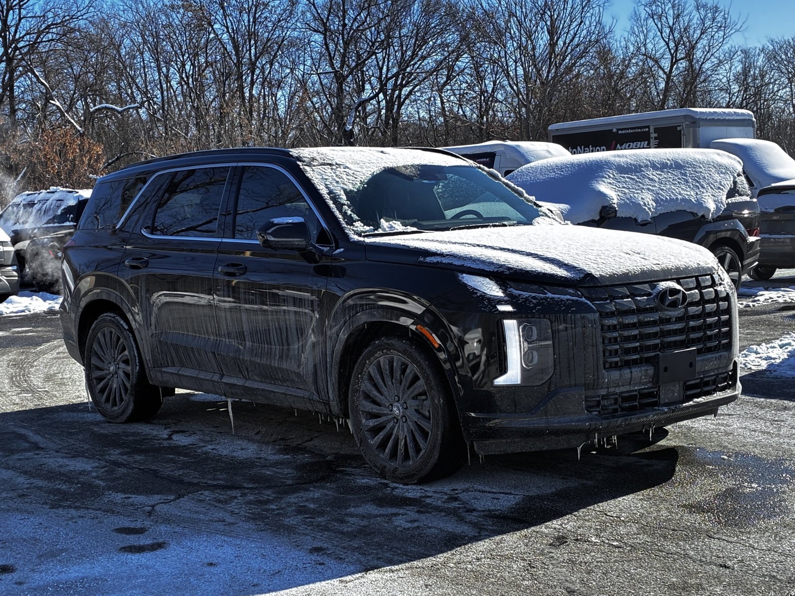 2024 HYUNDAI PALISADE - Image 3
