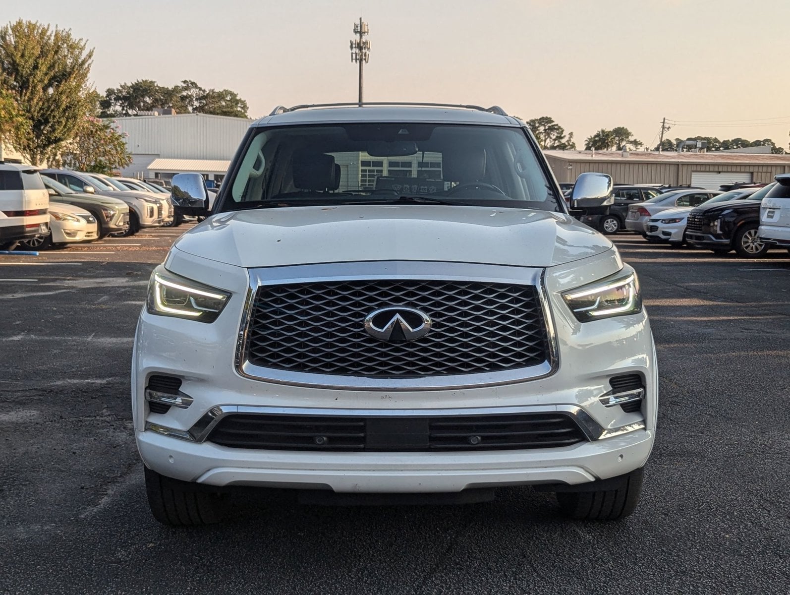 2019 Infiniti QX80 Luxe photo 2