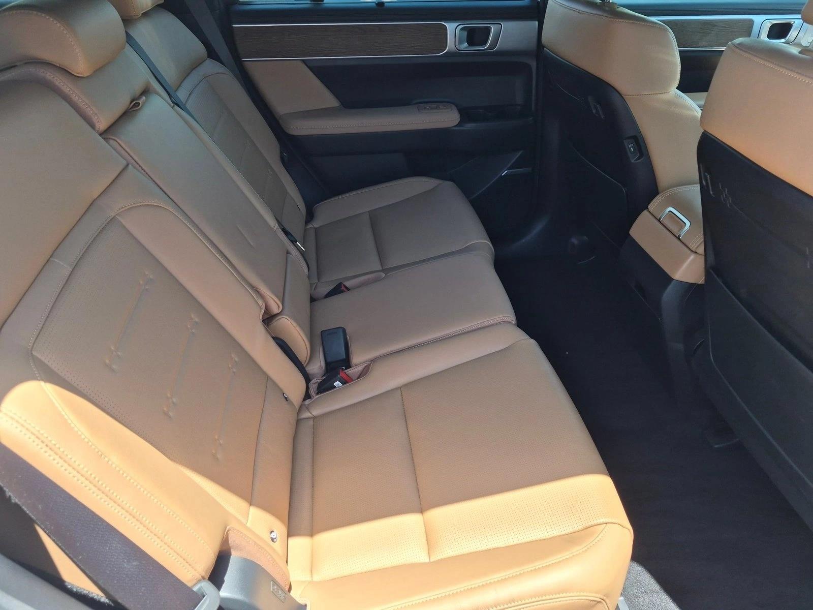 2025 Hyundai Santa Fe Limited - Photo 18