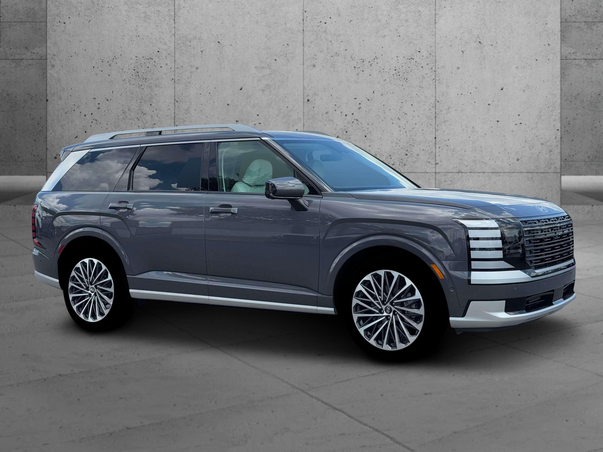2026 Hyundai Palisade Calligraphy - Photo 10
