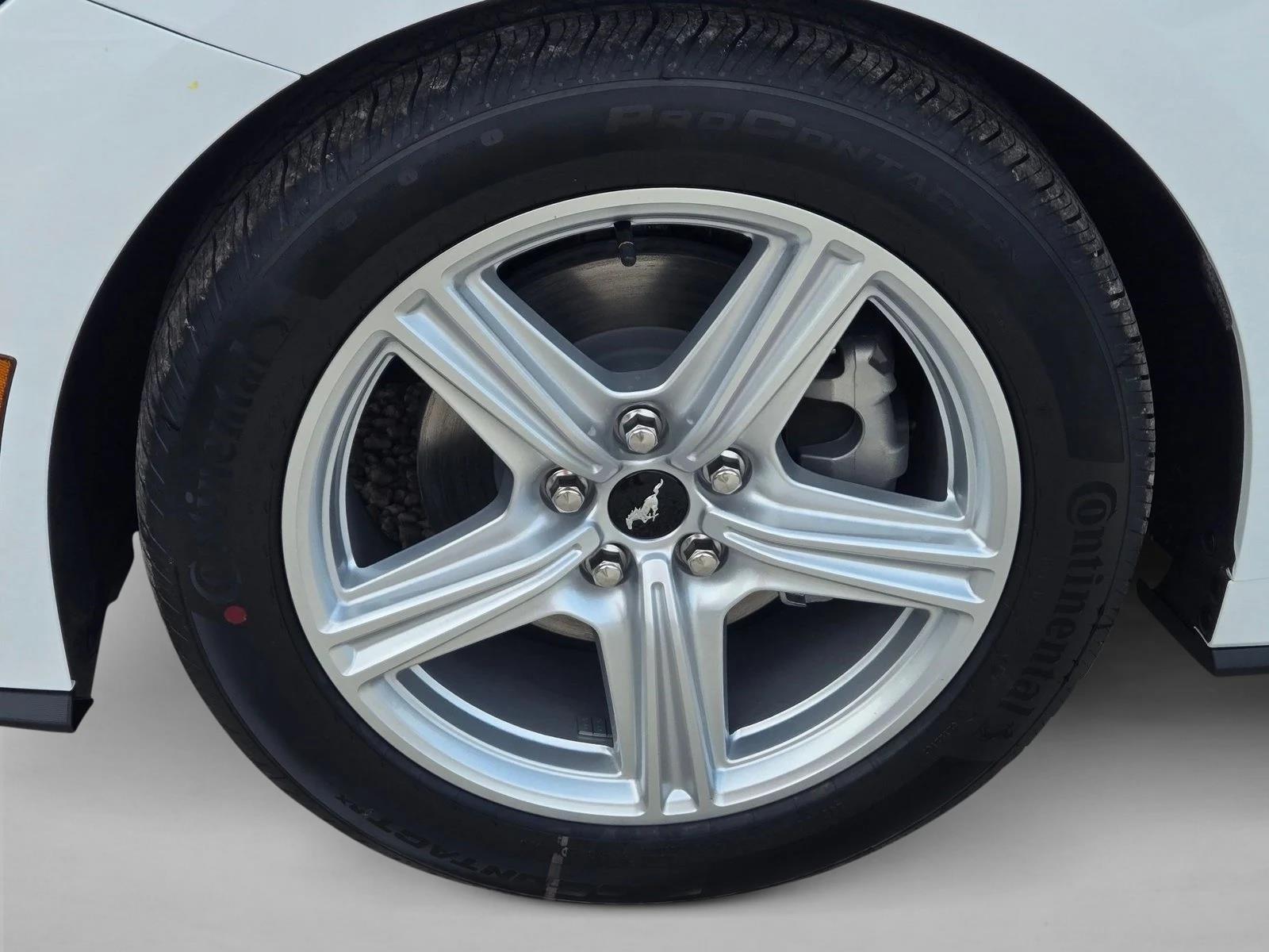 2026 Ford Mustang EcoBoost Fastback - Photo 10