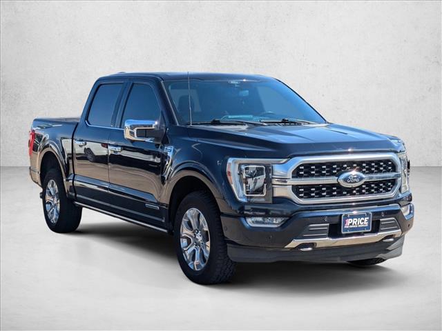 2021 Ford F-150 Platinum photo 3