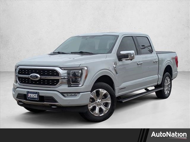 2023 Ford F-150 Platinum's photo