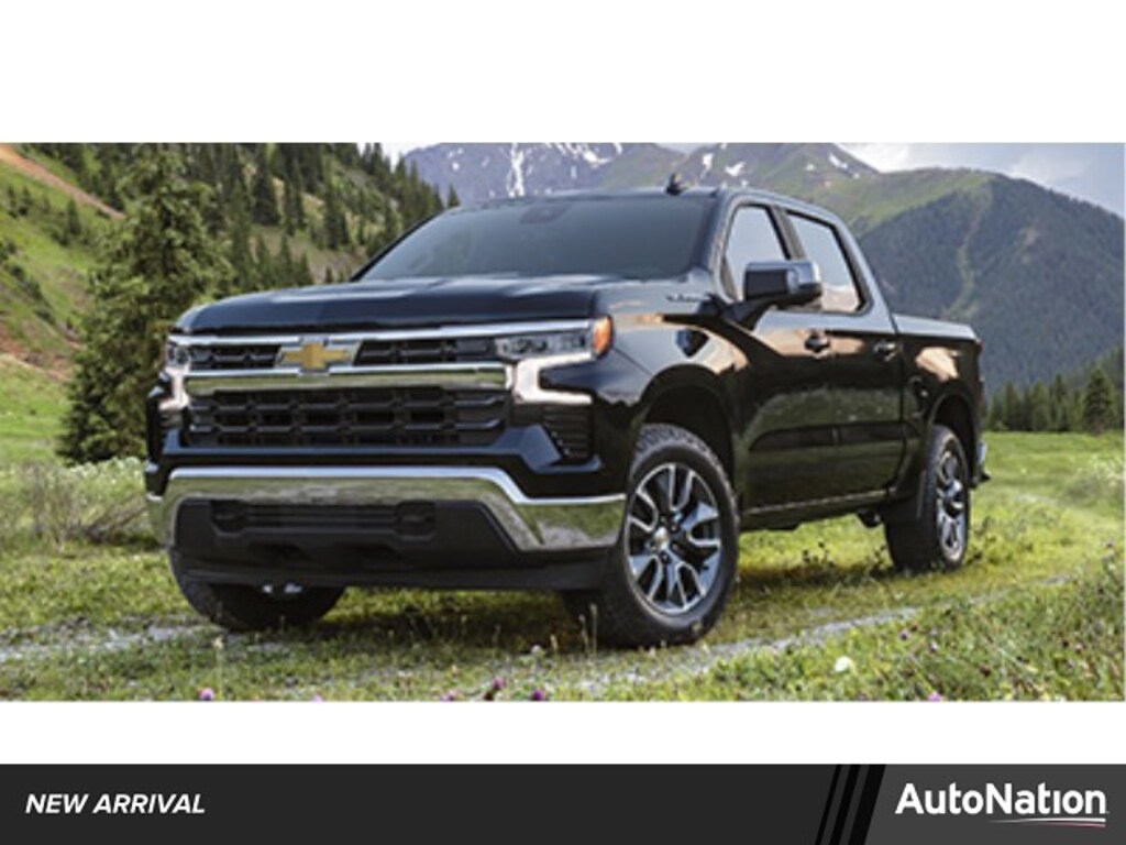 Used 2025 Chevrolet Silverado 1500 Custom Trail Boss Truck Crew Cab