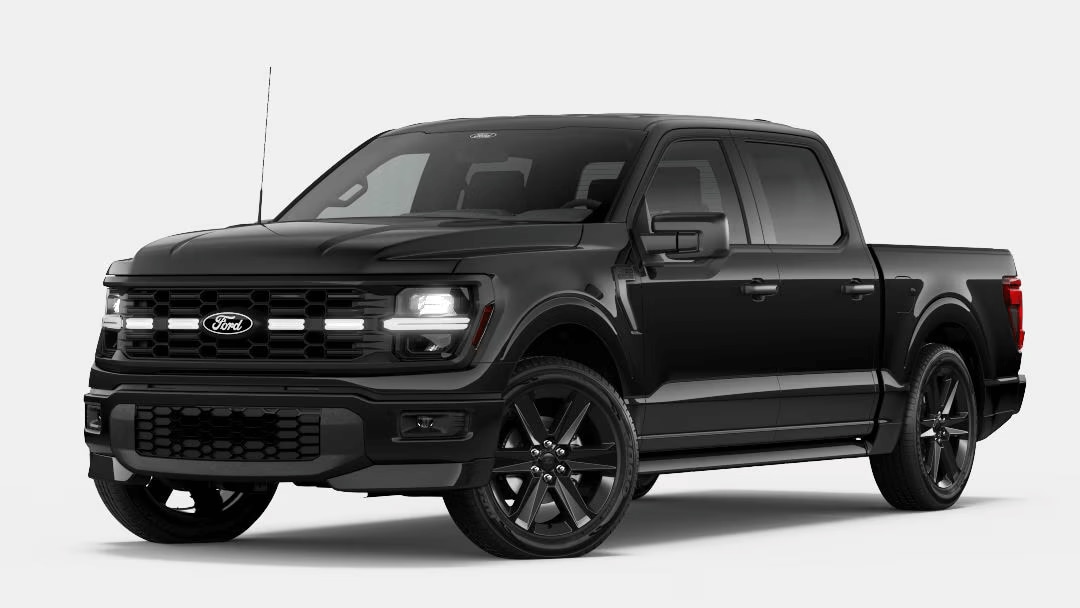 Ford F-150 in Agate Black Metallic