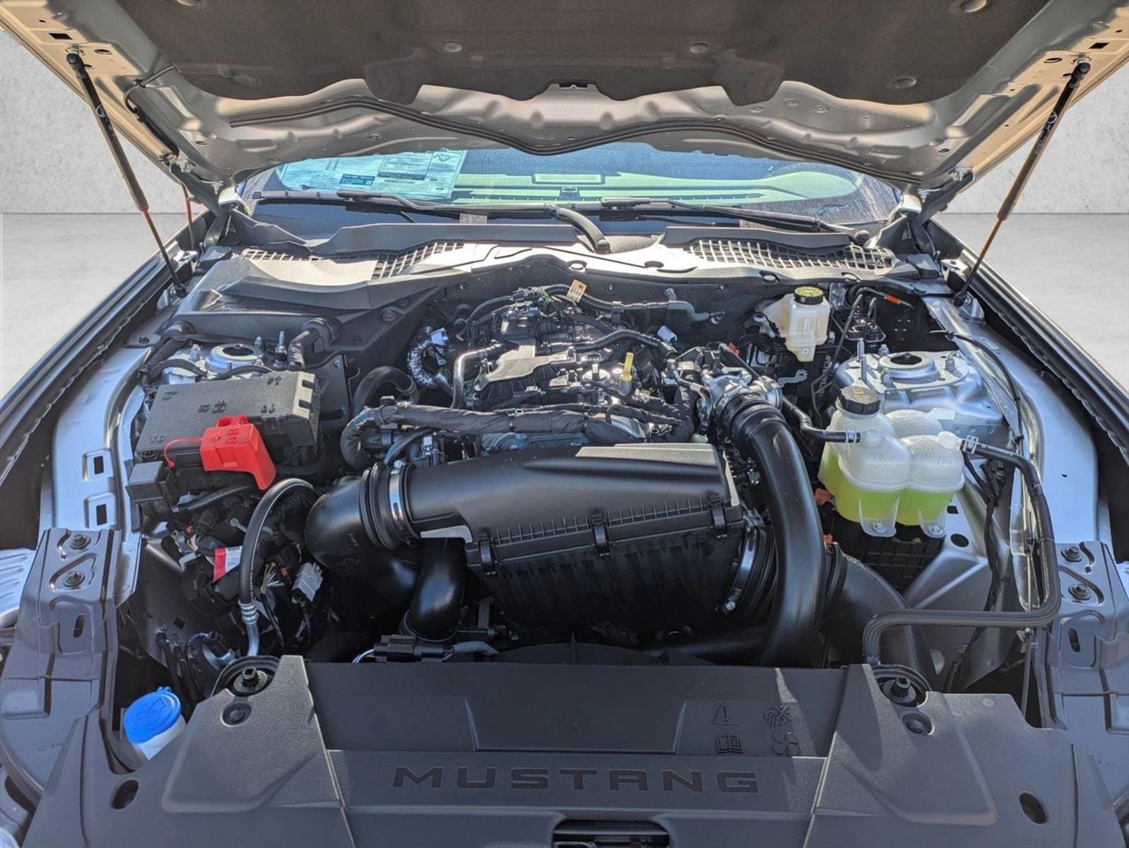 2026 Ford Mustang EcoBoost Fastback - Photo 16