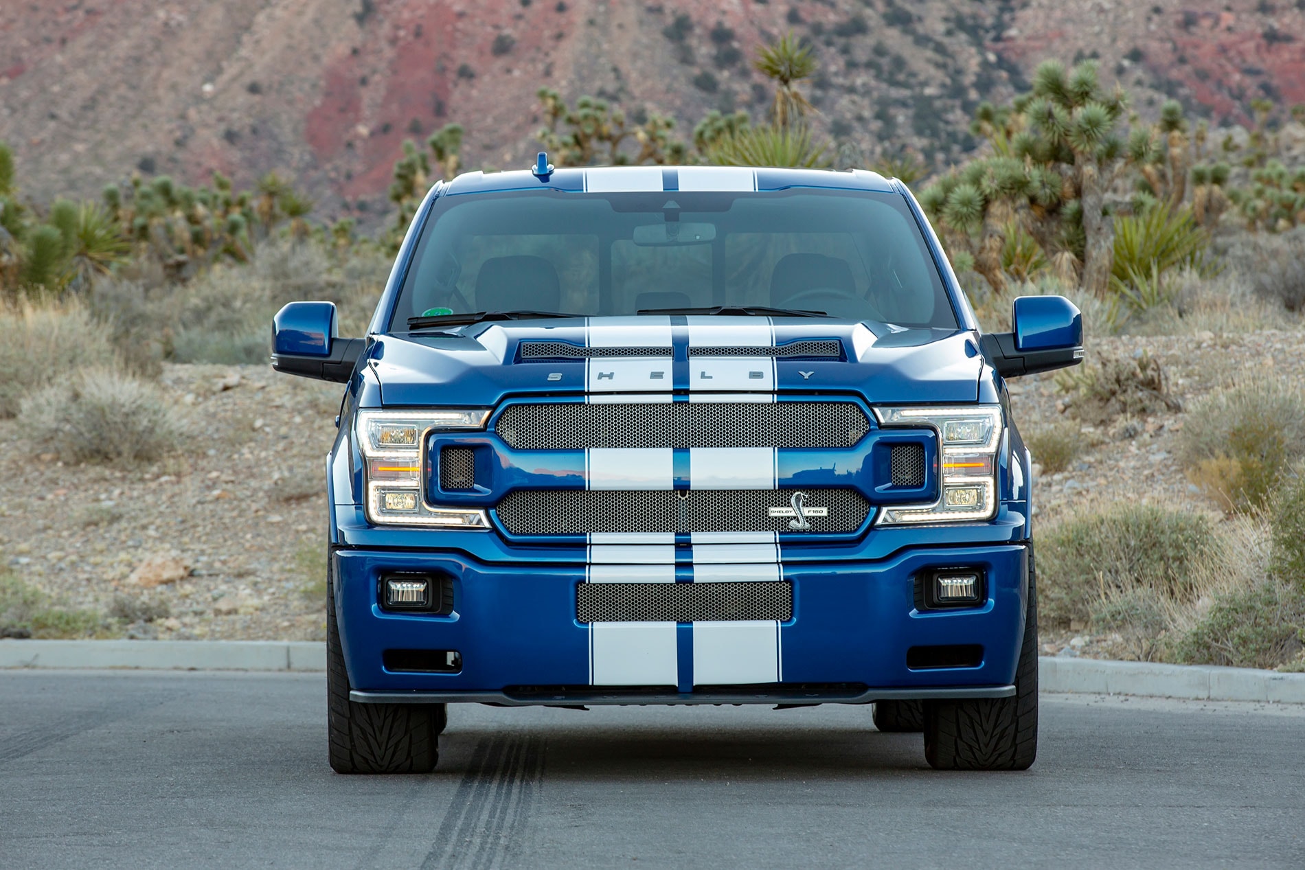 Shelby F-150 Super Snake