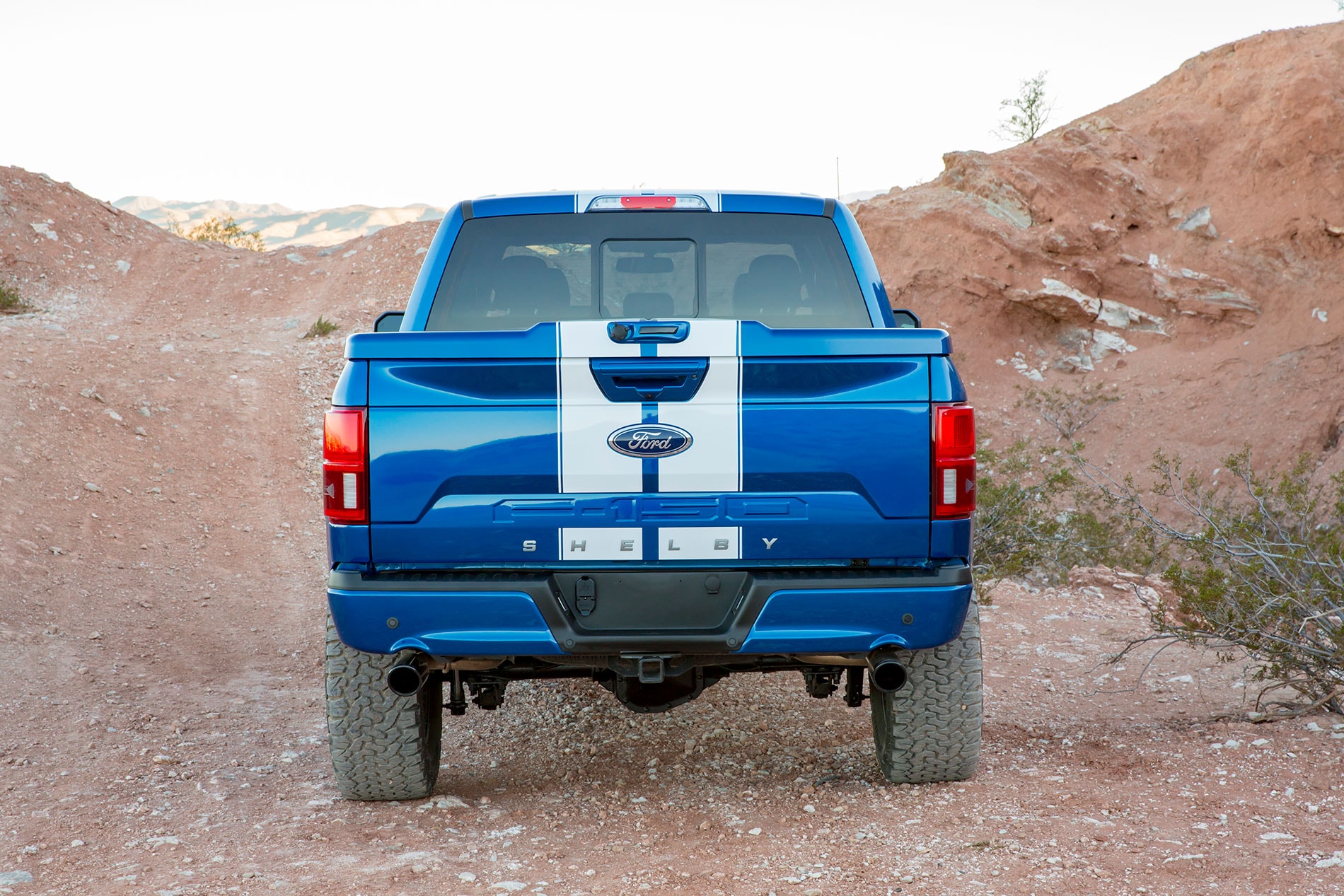 Shelby F-150