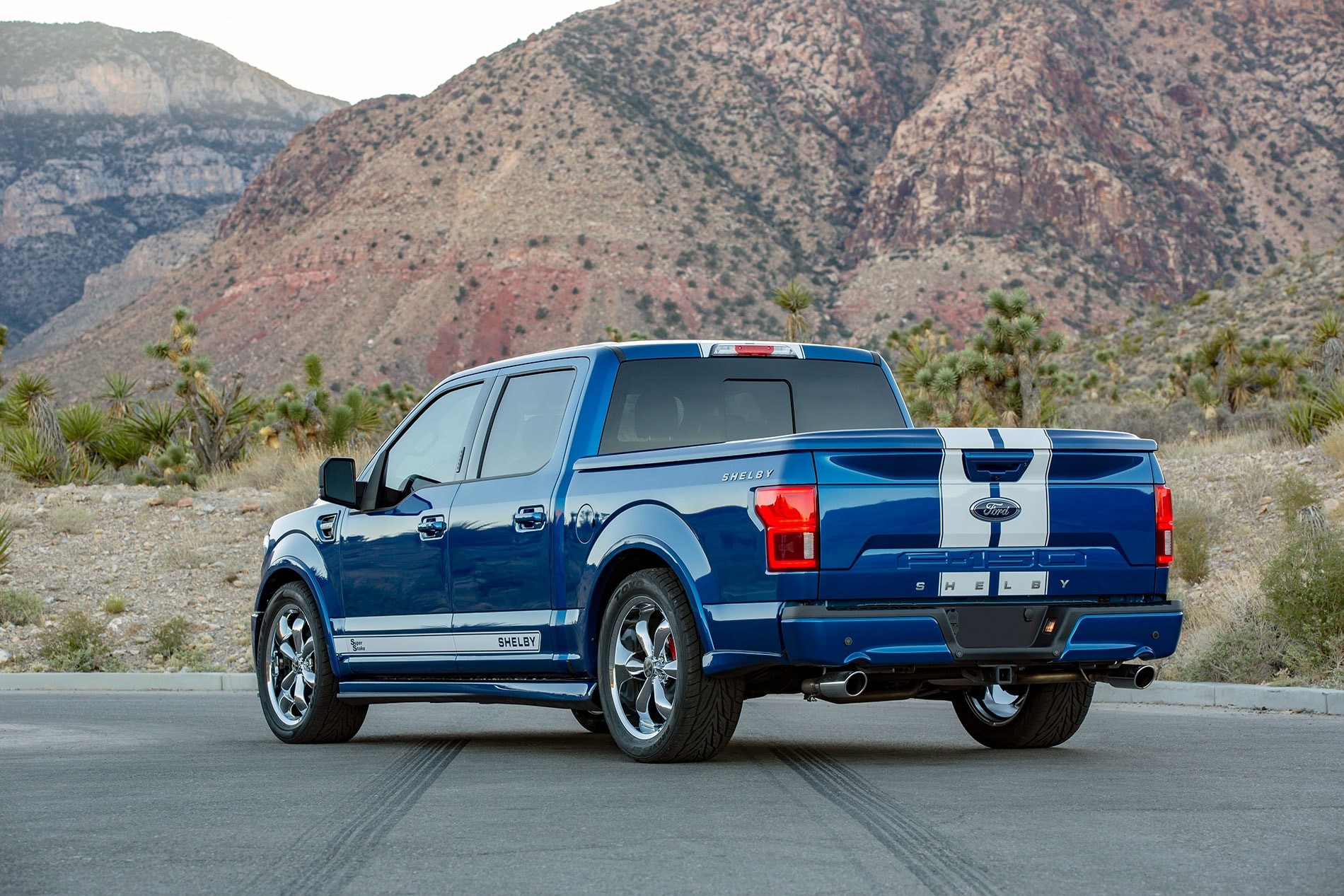 Shelby F-150 Super Snake