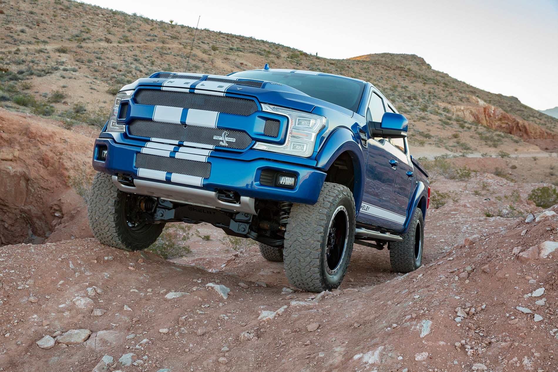 Shelby F-150