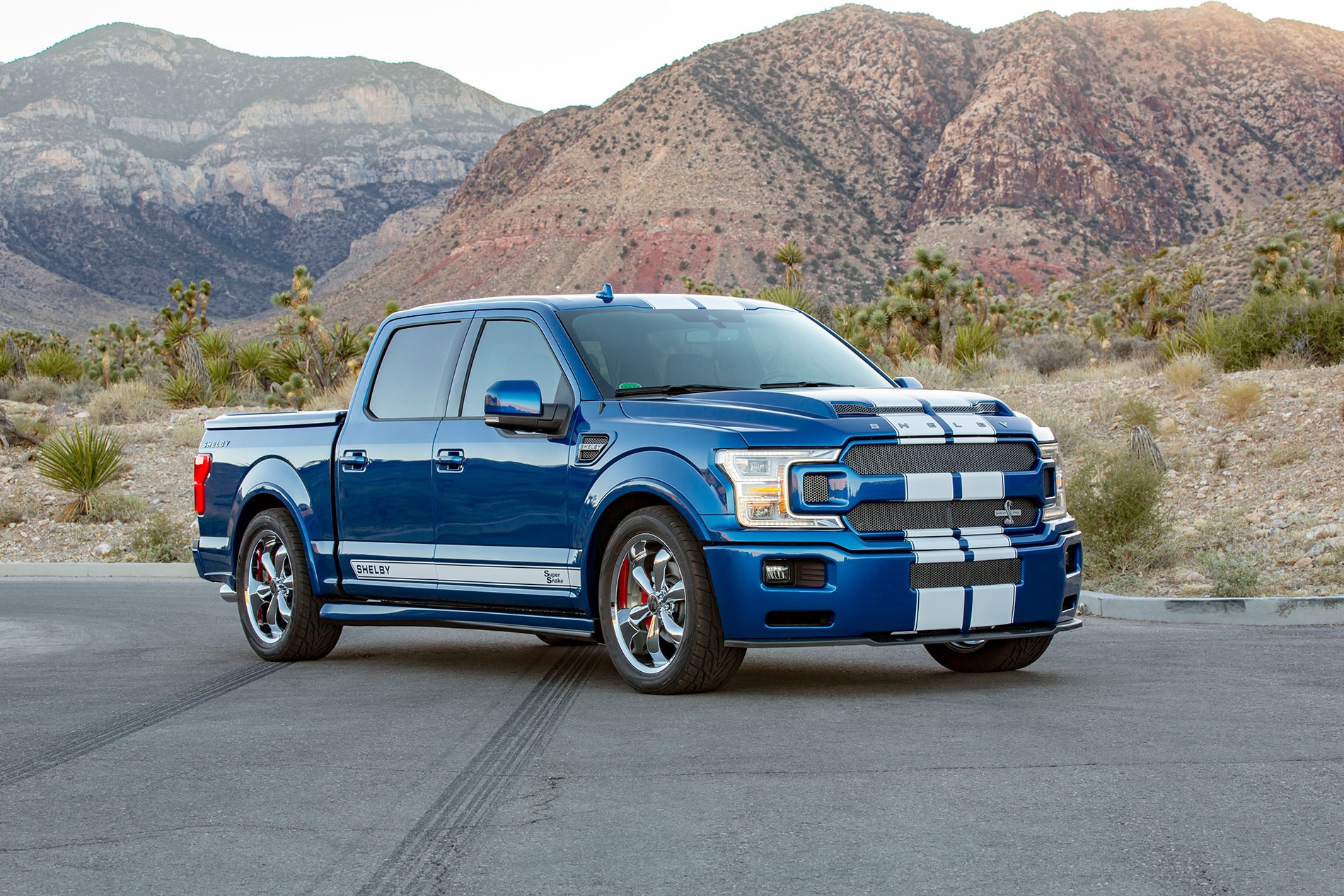 Shelby F-150 Super Snake