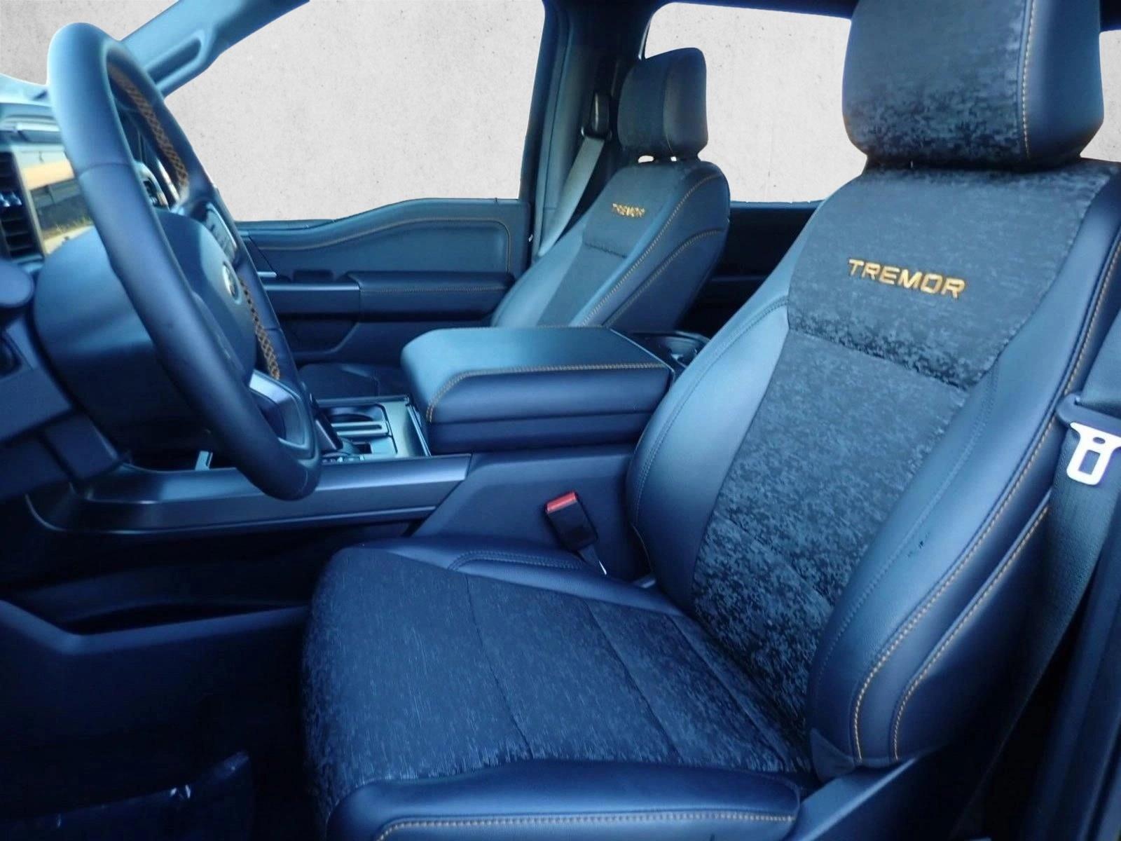 2025 Ford F-150 Tremor - Photo 10