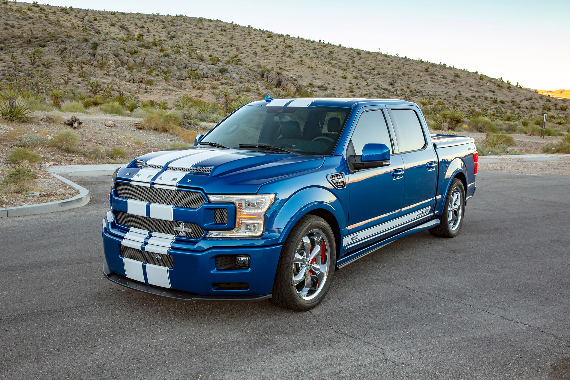 Shelby F-150 Super Snake