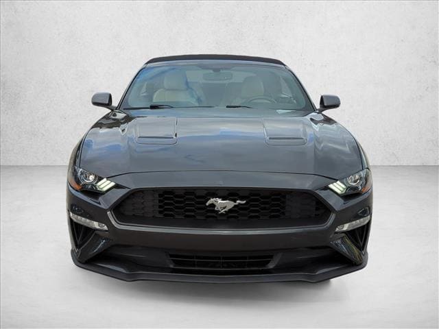 Certified 2019 Ford Mustang EcoBoost Premium with VIN 1FATP8UHXK5181854 for sale in Margate, FL