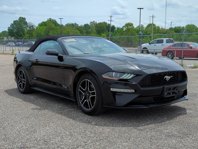 2023 Ford Mustang EcoBoost Premium Convertible photo 3
